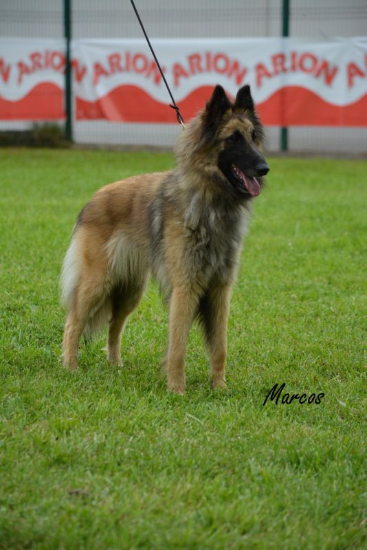 19-PANDORA D_AQUIVELT (1)